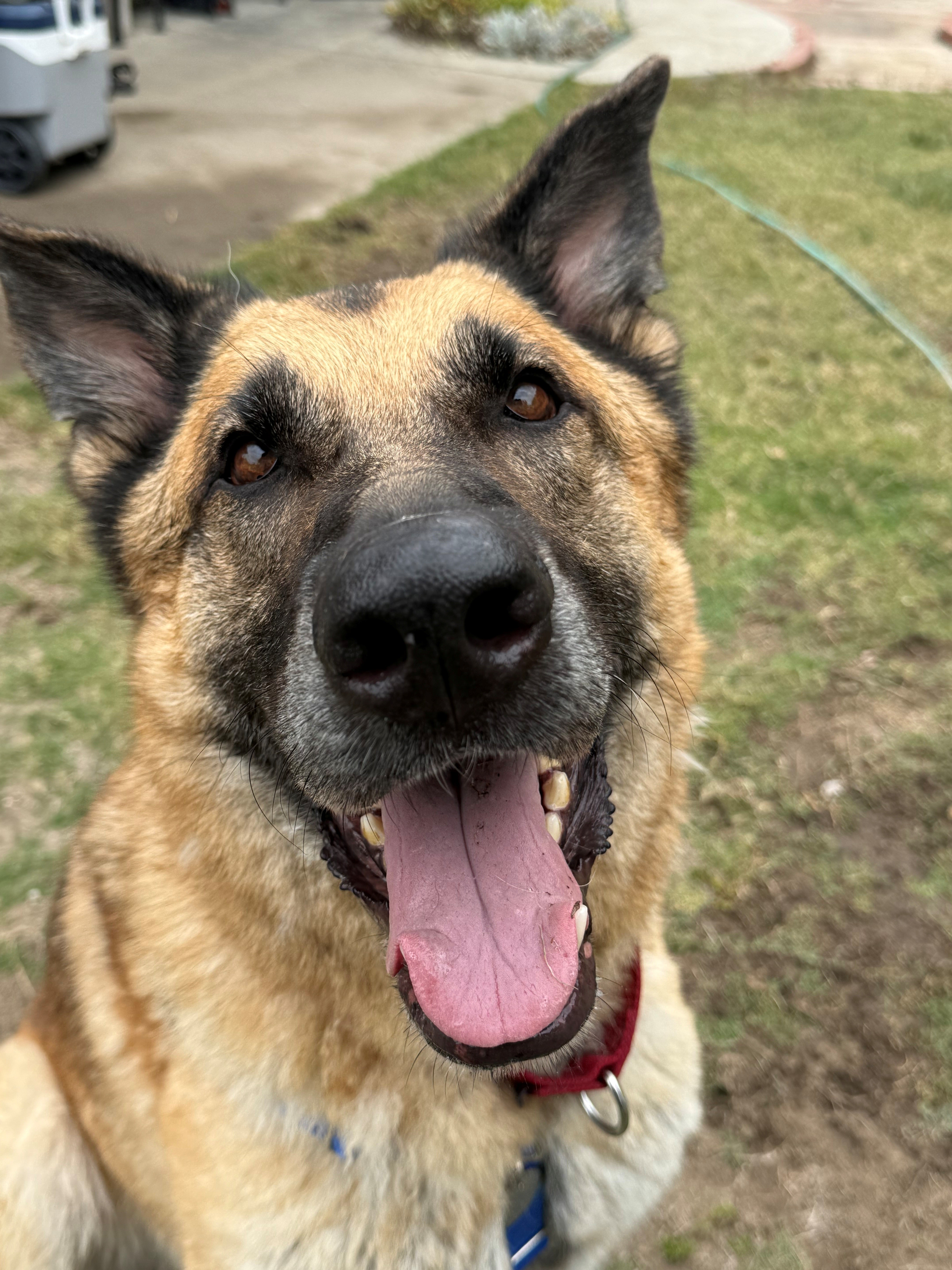 Up close photo of Alexander sitting and smiling