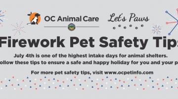 Celebrate pet Safety this 4th of July