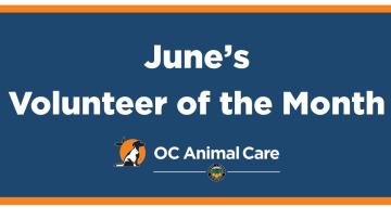 Volunteer of the Month: June