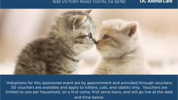 Cats, Kittens, and Rabbits Adoption Event 8.5.2023