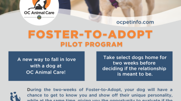 OCAC Foster-to-Adopt Flyer