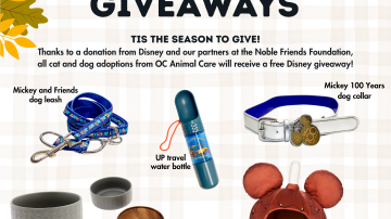 Disney Giveaways Nov 2025