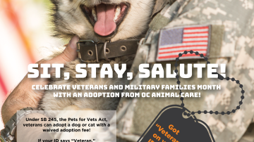 Pets for Vets_Salute_Square.