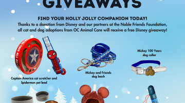 Disney Giveaways Dec 2025