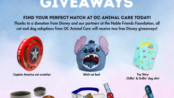 Disney Giveaways Spring 2026