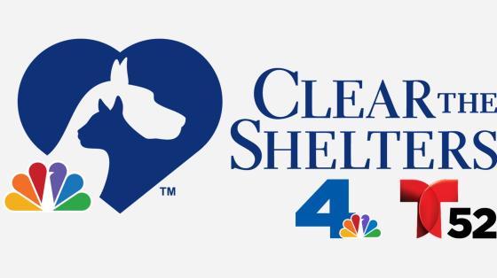 Clear the Shelters 2022
