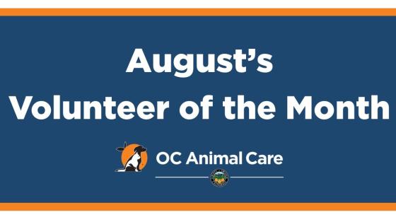 Volunteer of the Month