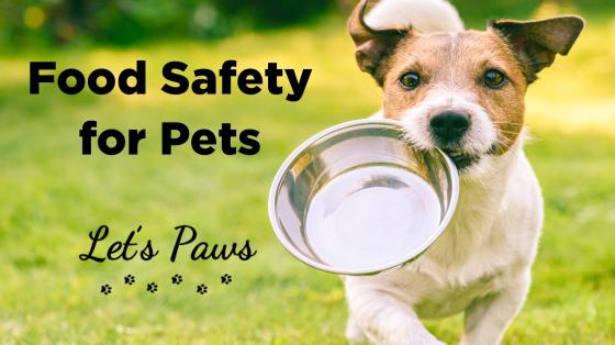 Pet Food Safety