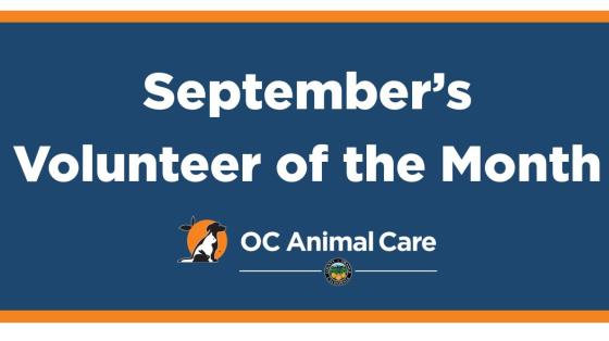 Oc Animal Care Oc Animal Care