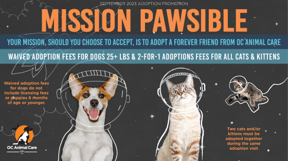 September 2023 Adoption Promotion_Lobby