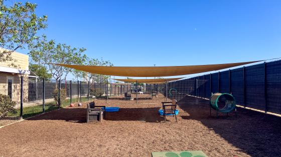 Mulch Renovation Yards