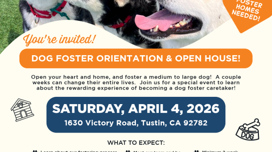 Dog Foster Open House and Orientation Saturday at OC Animal Care