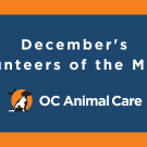 December Volunteers of the Month Banner