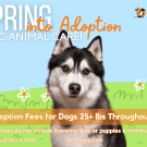April Adoption Promotion_Lobby