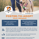 OCAC Foster-to-Adopt Flyer