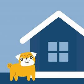 Dog in front of a house