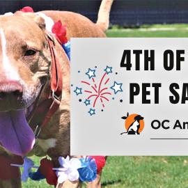 Celebrate Pet Safety this Fourth of July