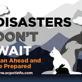 Disasters Don't Wait