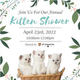 Kitten Shower