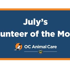 Volunteer of the Month