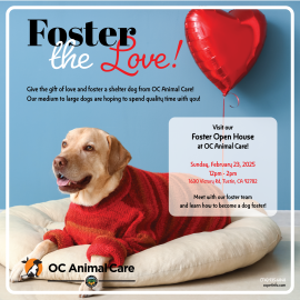 Foster Open House