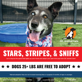 July 2025 Adoption Promotion_Social Media