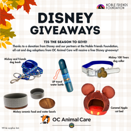 Disney Giveaways Nov 2025