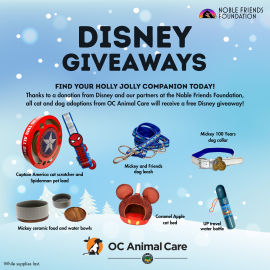 Disney Giveaways Dec 2025