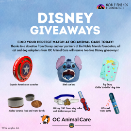 Disney Giveaways Spring 2026