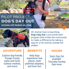 OC Animal Care hosts Dog's Day Out