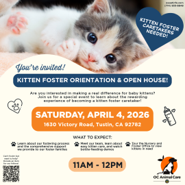 Kitten Foster orientation and open house at 11 a.m. Saturday