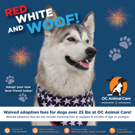 July 2026 Adoption Promotion
