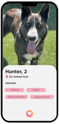 Hunter (A1754123)