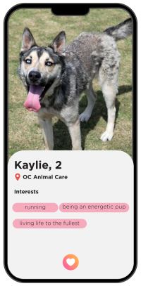 Kaylie (A1757073)