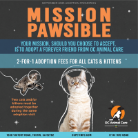 September 2023 Adoption Promotion_Social Media_Cats.png