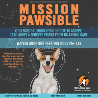 September 2023 Adoption Promotion_Social Media_Dog.png