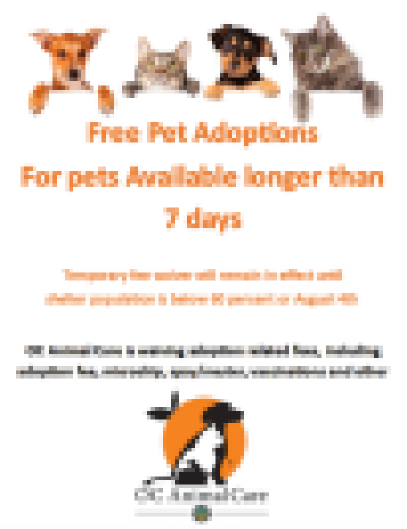 Free pet adoptions flyer