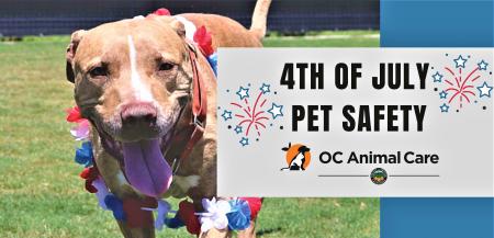 Celebrate Pet Safety this Fourth of July