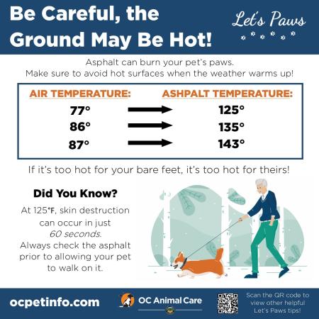 Let's Paws: The Ground May Be Hot