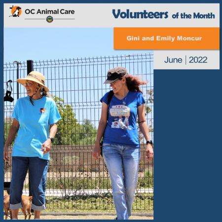 Volunteer of the Month