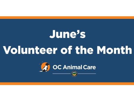 Volunteer of the Month: June