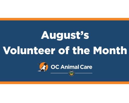 Volunteer of the Month