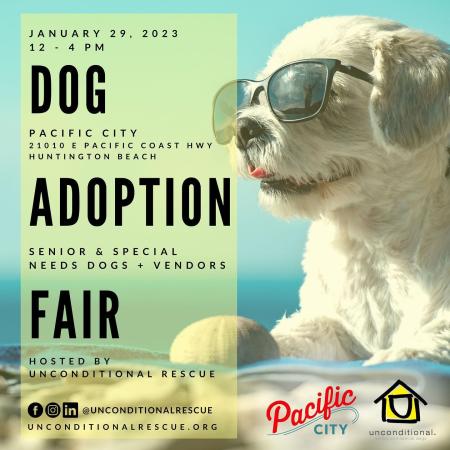 Unconditional Rescue - Dog Adoption Fair