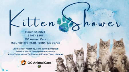 Kitten Shower, March 12, 2023