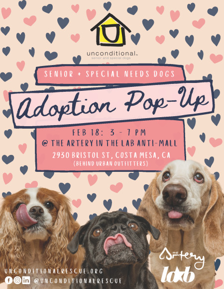 Unconditional Adoption Event 