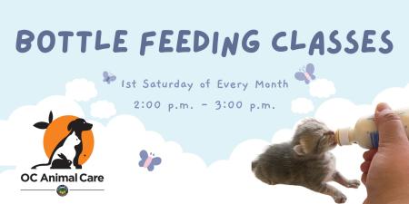 Kitten Club - Bottle Feeding Classes