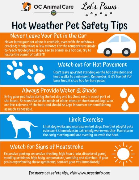 Hot Weather Pet Safety Tips