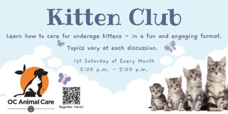 Kitten Club