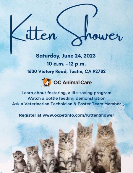 Kitten Shower