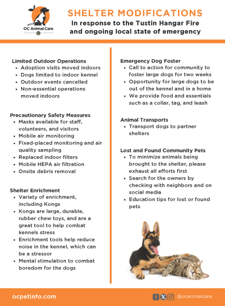 Shelter Modifications Infographic